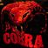 Cobra Aoi Corp
