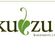 KUDZU Investment Ltd