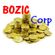 BOZIC Corp