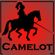 Camelot Citadel