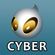 Cyber Organization