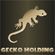 Gecko Holding