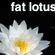 Fat Lotus