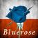 Bluerose Corporation
