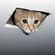 Ceiling Cat