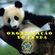 Panda Organization