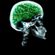 o gajo do cerebro esverdeado