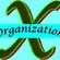 Organization X