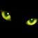 BlackBlack Cat