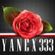 Yanex333